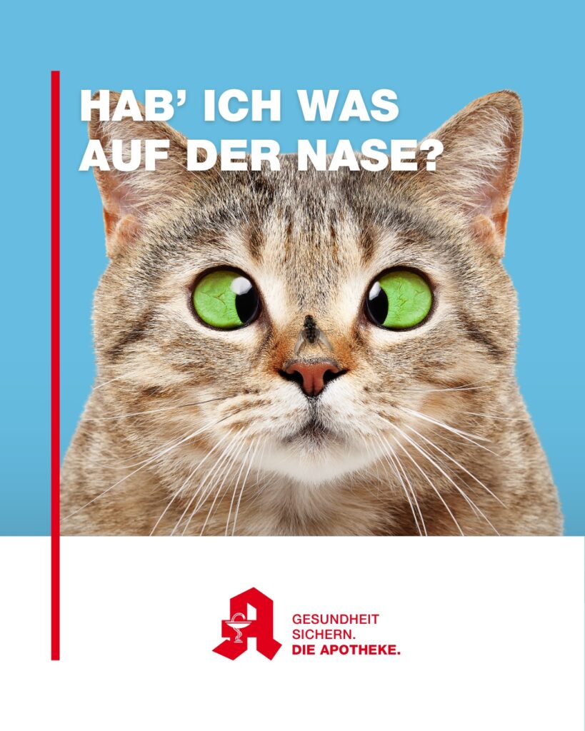 Insektensommer 2025