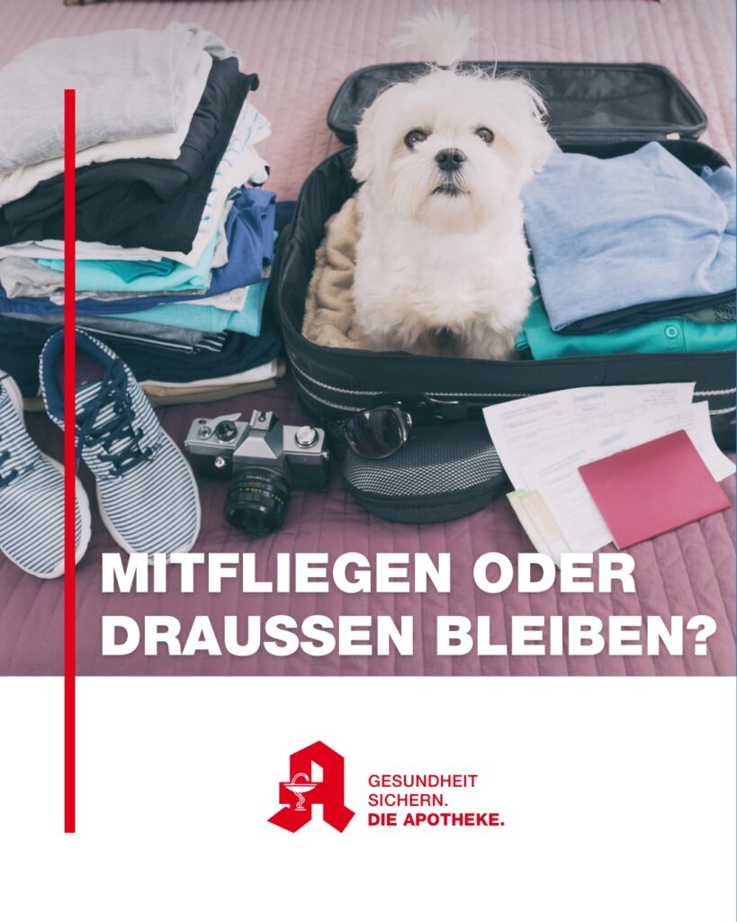 Medikamente im Handgepäck